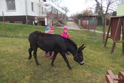Staročeské Vánoce se zvířecím betlémem