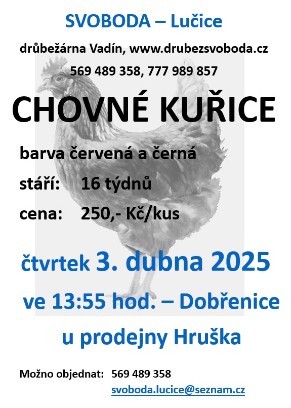 25062
